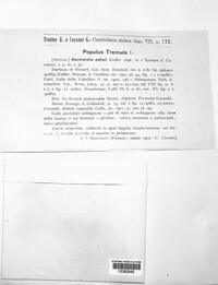 Image Associated With the Occurence